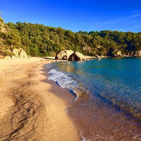 Private Apartments Cala Canyelles Льорет-де-Мар Екстер'єр фото