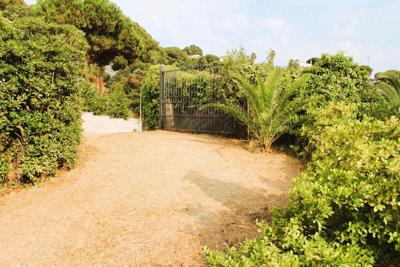 Private Apartments Cala Canyelles Льорет-де-Мар Екстер'єр фото
